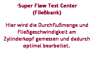 Textfeld: ·Super Flow Test Center (Fließbank) 
Hier wird die Durchflußmenge und Fließgeschwindigkeit am Zylinderkopf gemessen und dadurch optimal bearbeitet.
